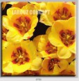 /album/photo-gallery-canvas-uri/decoratiuni-de-perete-canvas-lc-0750-jpg/